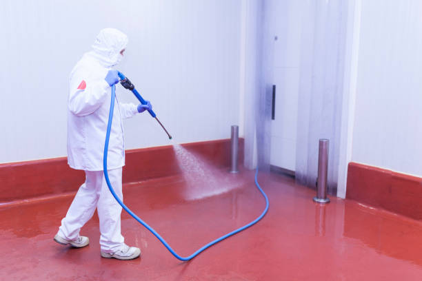 Best Pre-Holiday Cleaning  in White City, UT